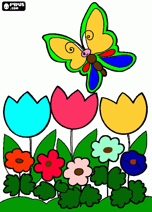 Mejia para colorear