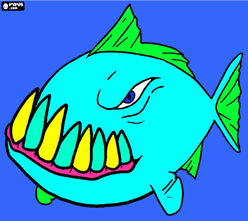mi  tiburon para colorear