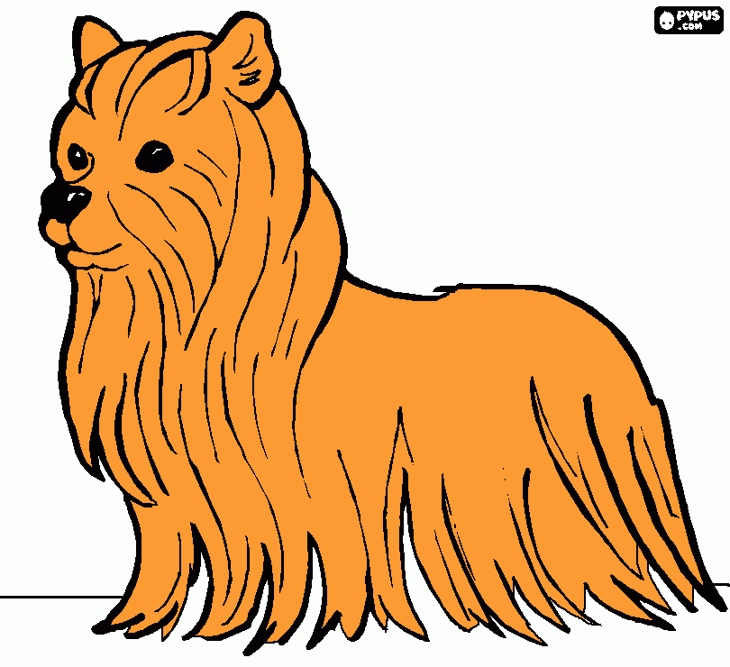 mia mi linda perrita para colorear