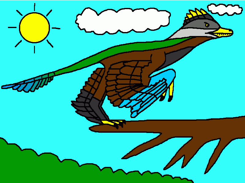 microraptor para colorear
