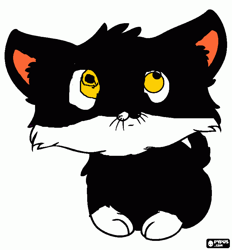 milo el gato para colorear