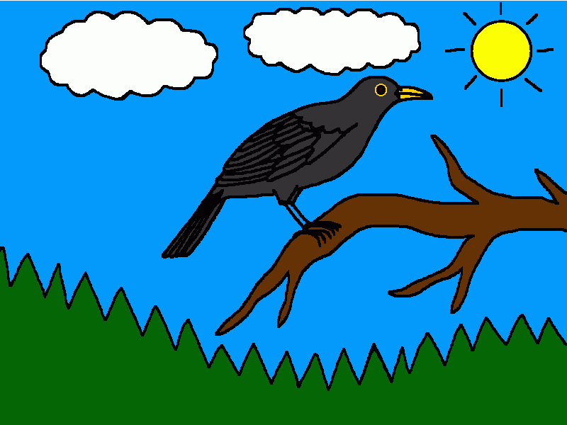 mirlo común para colorear