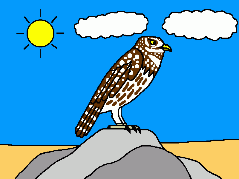 mochuelo europeo para colorear