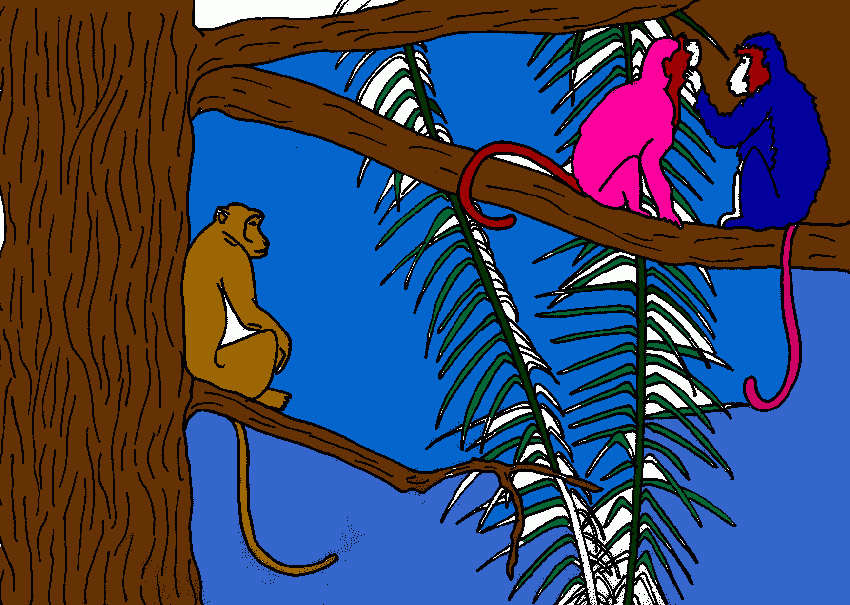 Monkeys in color para colorear
