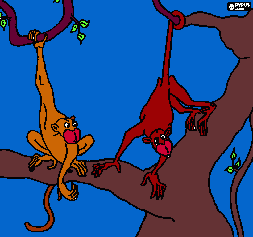 monos locos para colorear