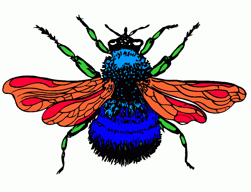 moscardon para colorear