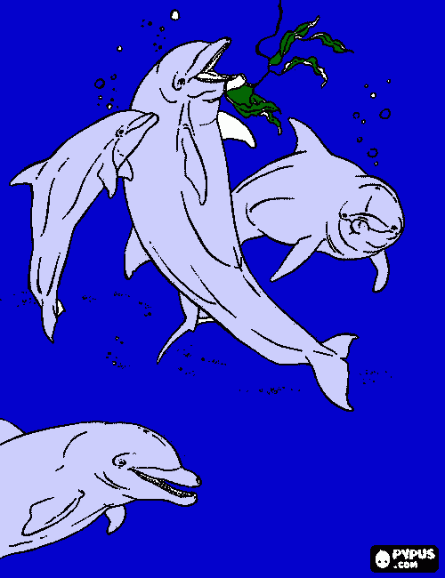 MUNDO MARINO para colorear