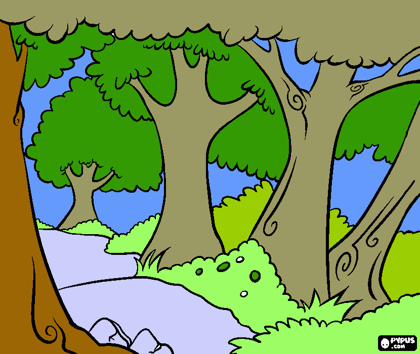 natura para colorear