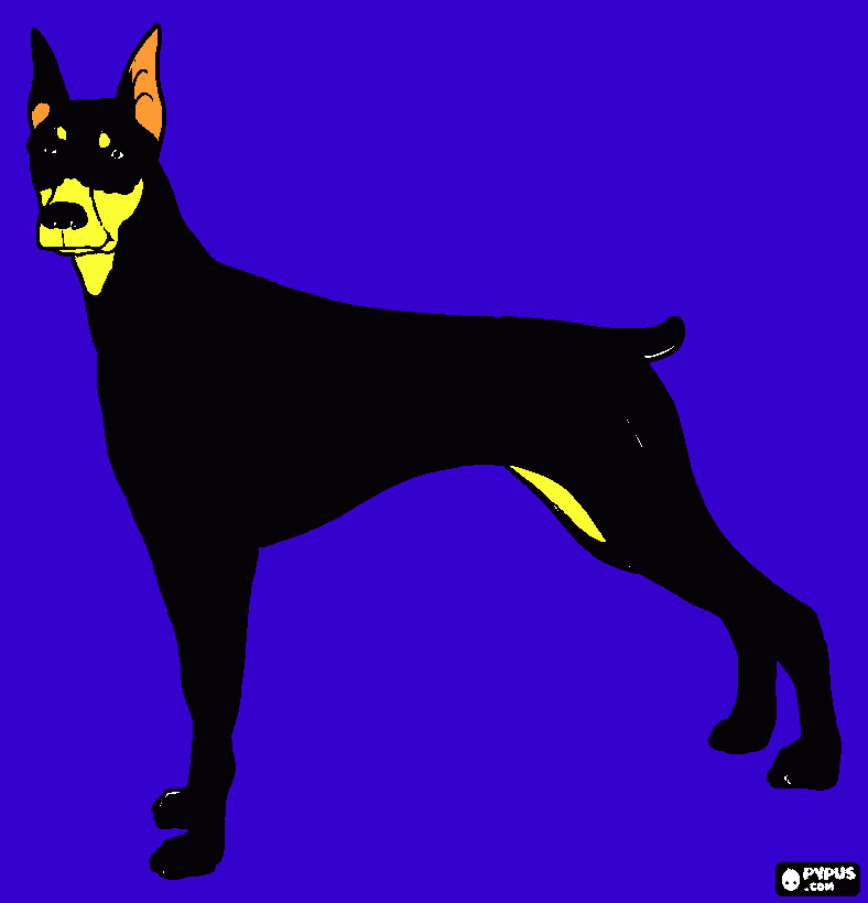negrito para colorear