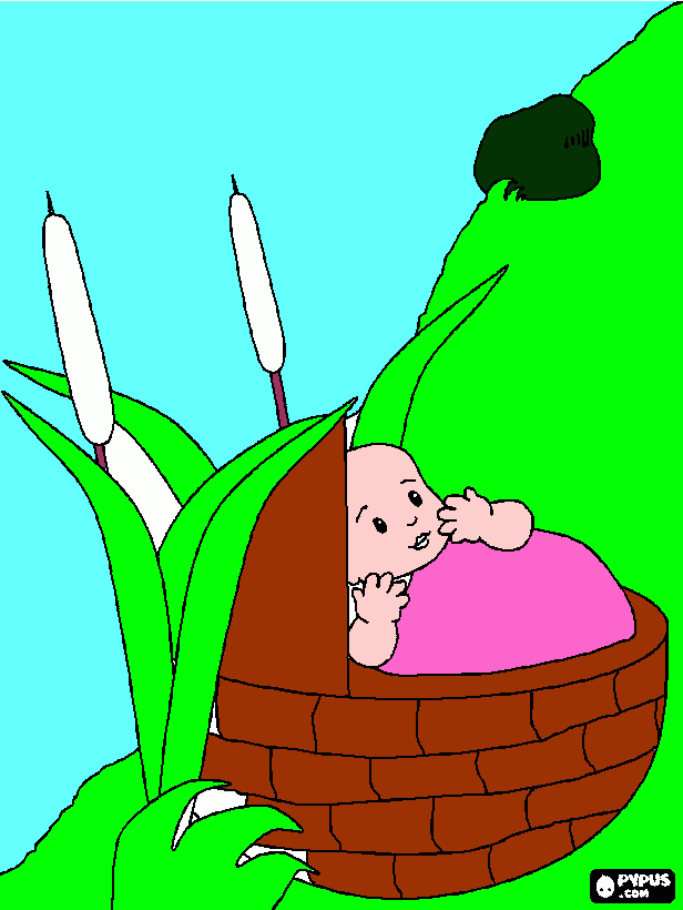 NIÑO MOISES para colorear