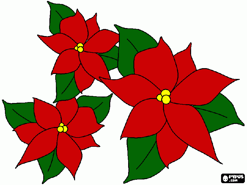 Nochebuena para colorear, Nochebuena para imprimir Nochebuena para colorear, Nochebuena para imprimir