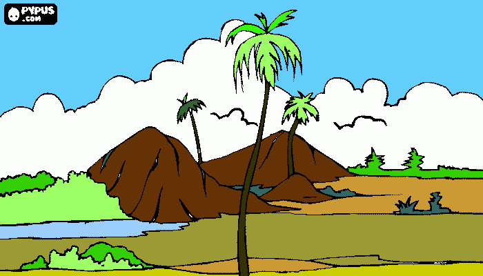 OASISAMERICA para colorear