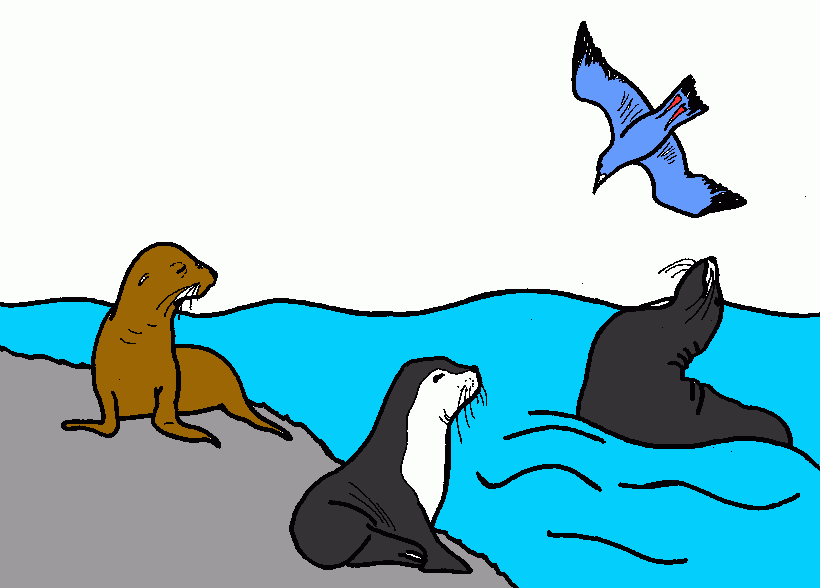 oceano para colorear