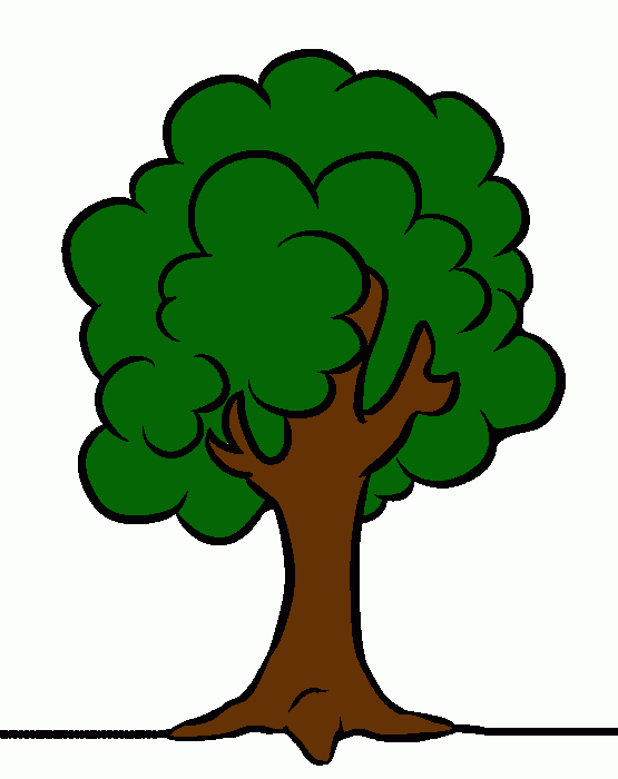 olivo para colorear