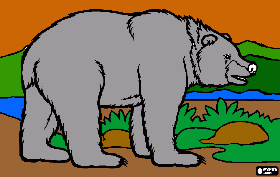 oso  para dibujar para colorear