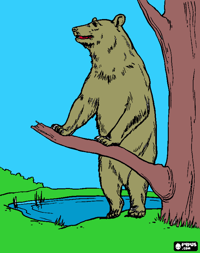 oso pardo para colorear
