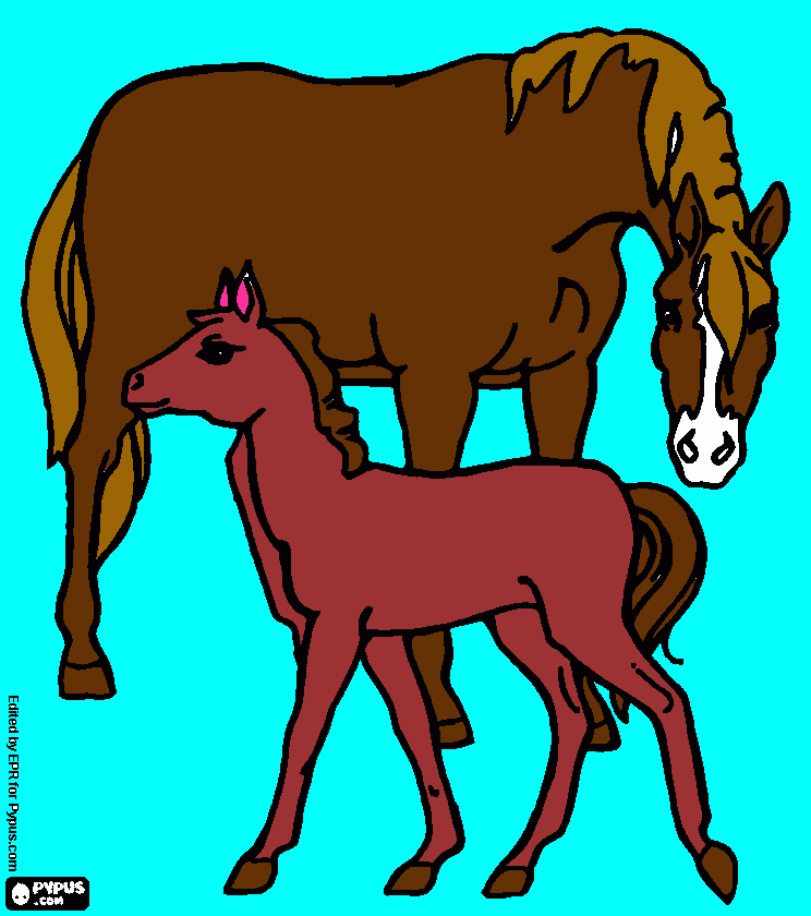 otro caballo para colorear