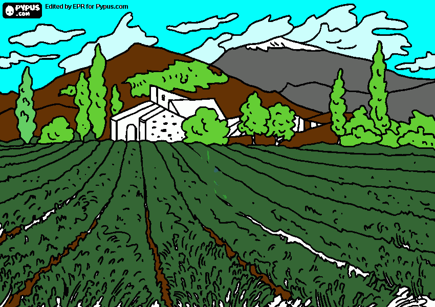 paisaje agricola con el campo de cultivo de campo para colorear