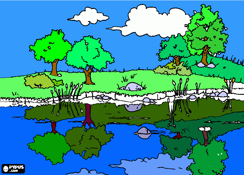 Paisaje de un estanque para colorear para colorear