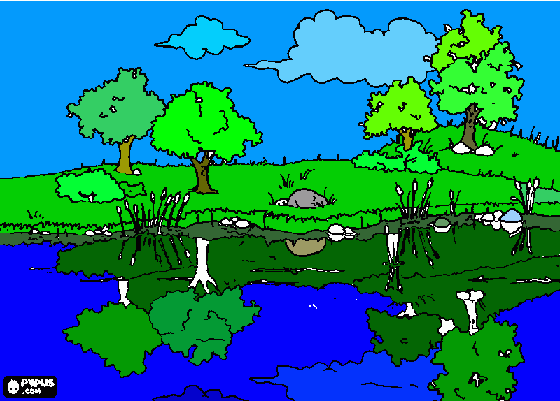 paisaje estanque para colorear