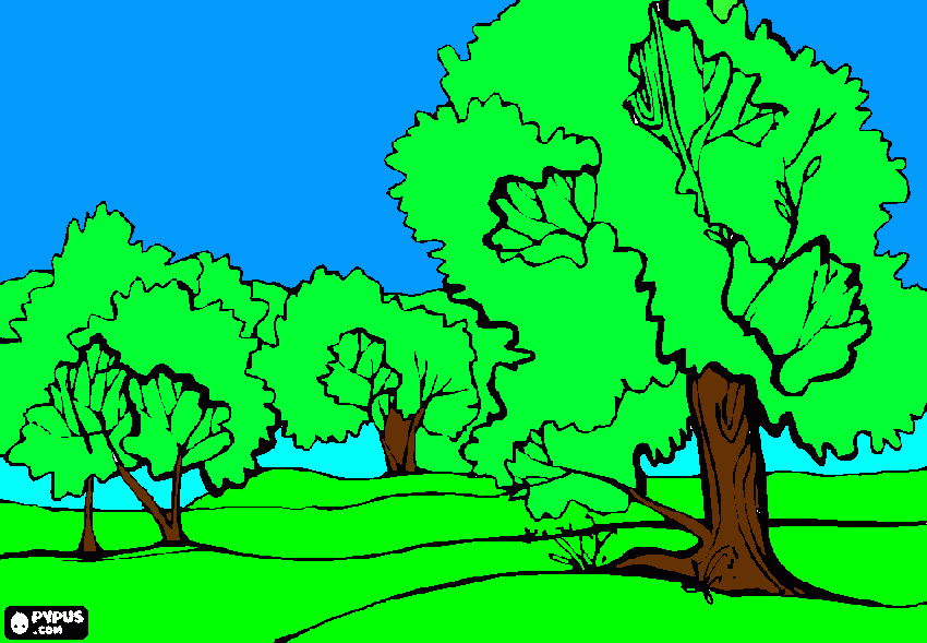 paisajes de llanuras para colorear