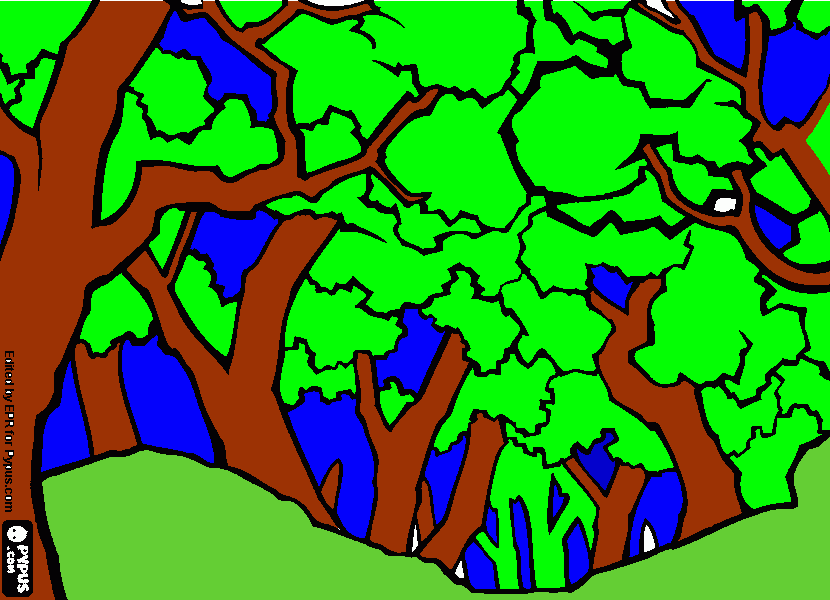 PAISAJES NATURALES para colorear