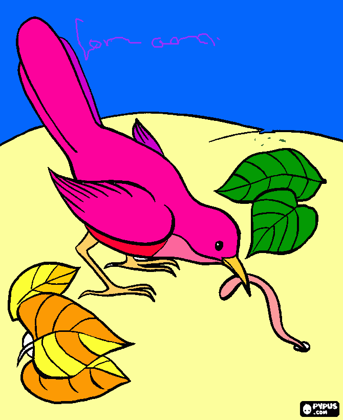 pajarillo para colorear