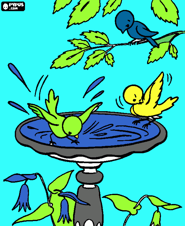 pajaritos en fuente  para colorear