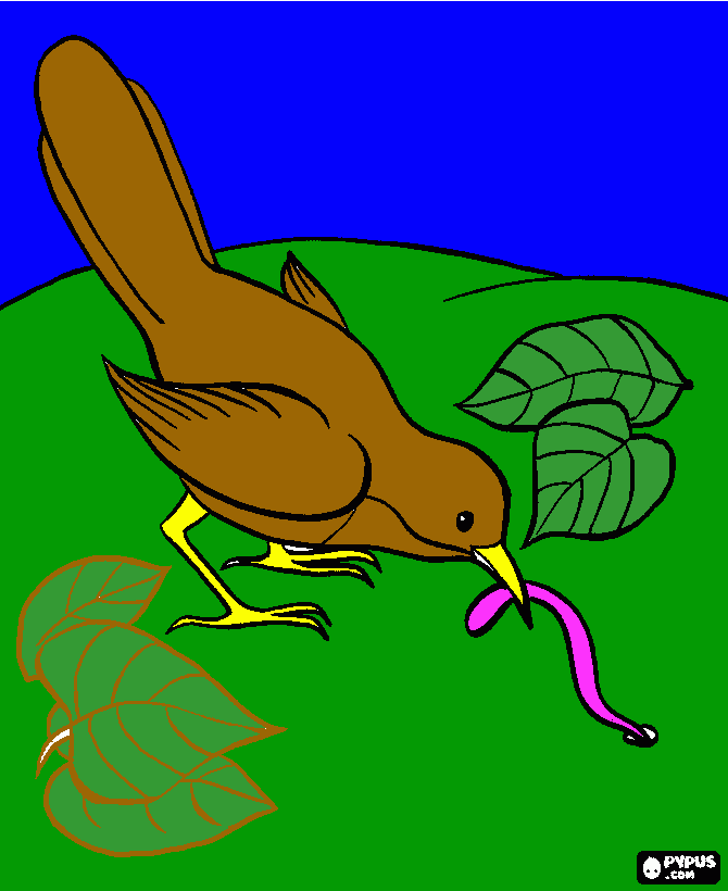 pajaro con gusano en la boca para colorear