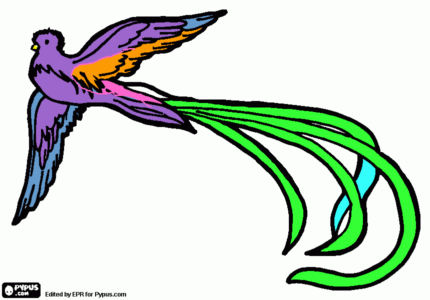 pajaro  quetzal para colorear