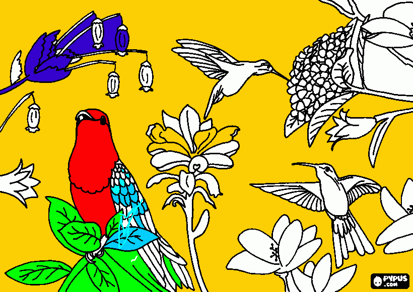 pajaros etre la flores para colorear