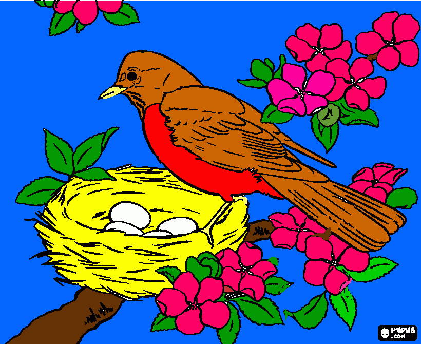 pajáro cuidando sus huevos para colorear