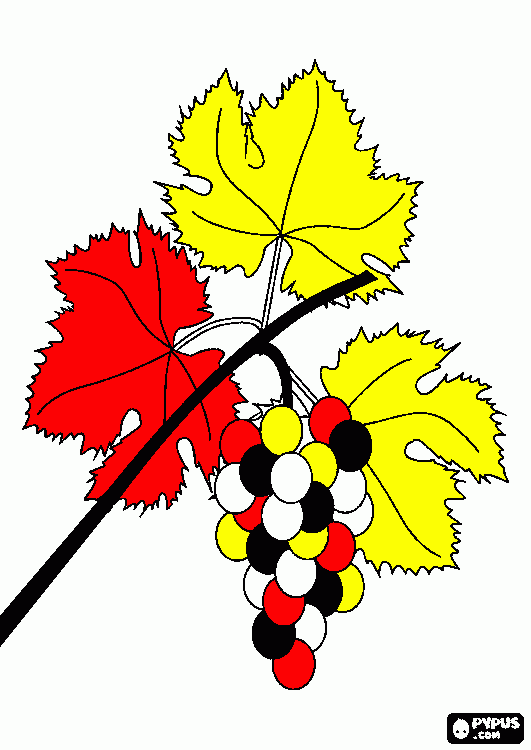 Palomino para colorear