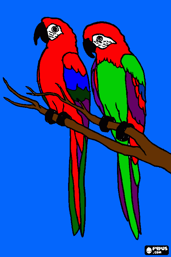 papagayo rojo y para colorear, papagayo rojo y para imprimir