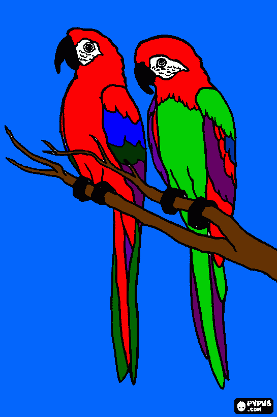papagayo rojo y para colorear, papagayo rojo y para imprimir papagayo rojo y para colorear, papagayo rojo y para imprimir