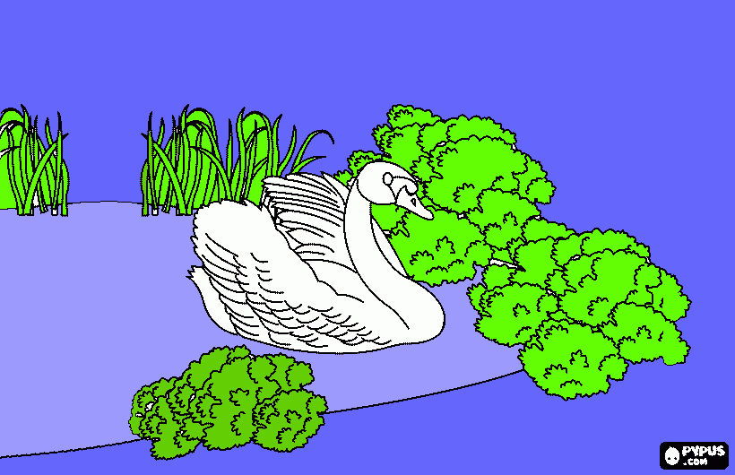 pato al agua para colorear