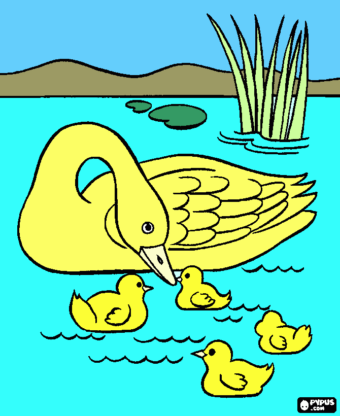 pato en agua para colorear