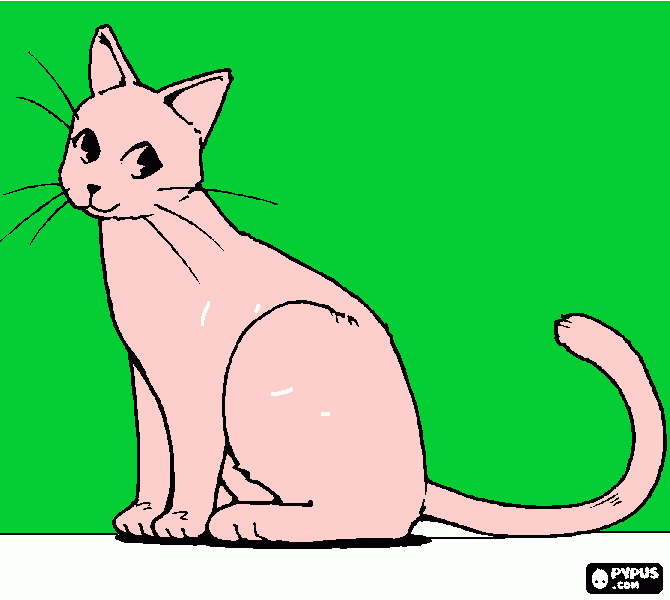 Pazzaglia para colorear