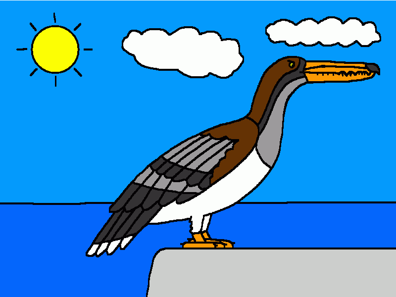 pelagornis para colorear