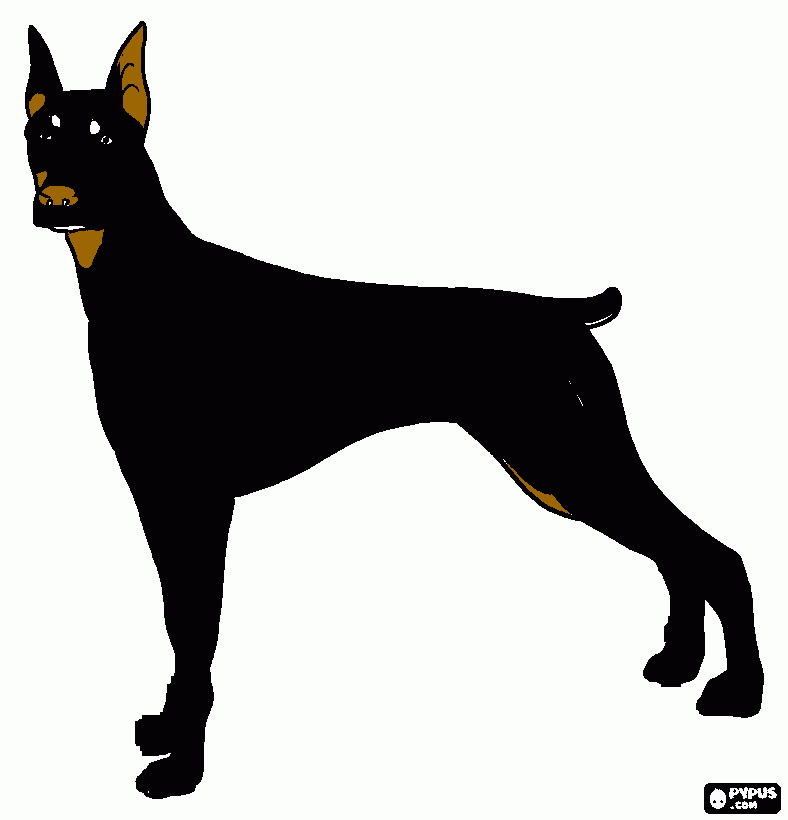 perrito de castellanos para colorear