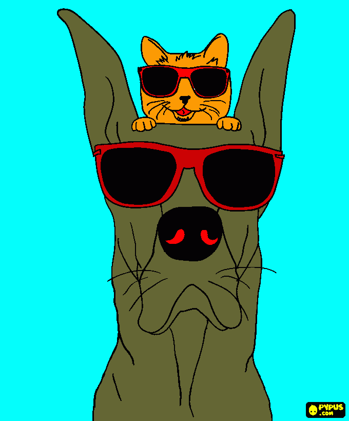 Perro y gato con lentes para colorear