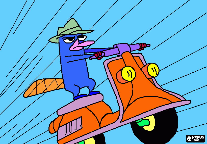 perry el ornitorrinco!! para colorear