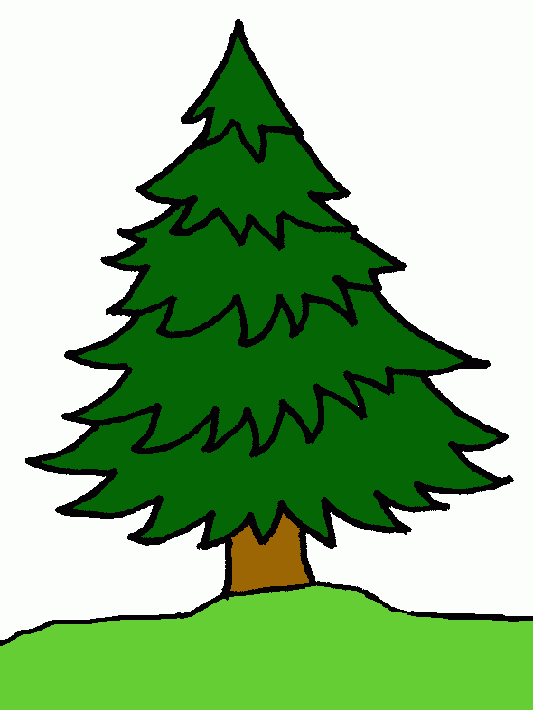 pino para colorear