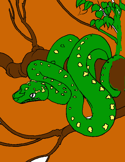 piton para colorear