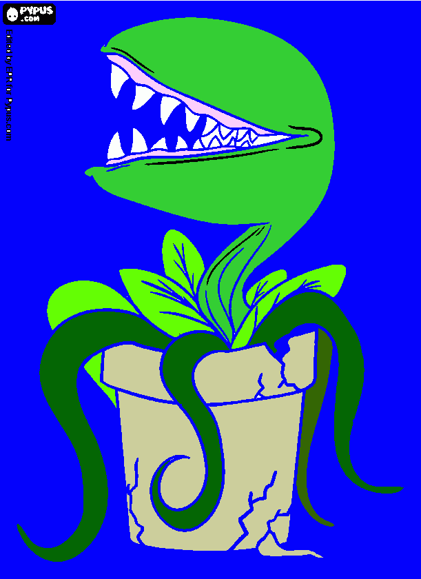 plantya para colorear