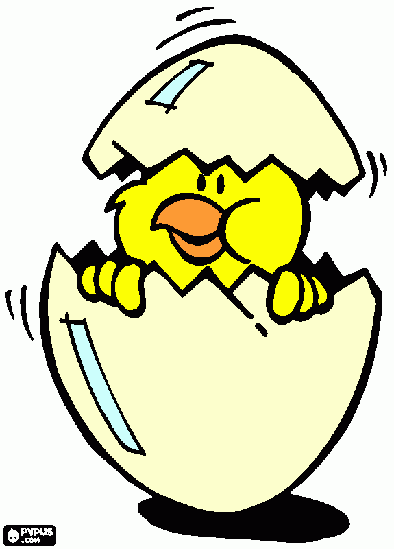 pollito en cascarón:) para colorear