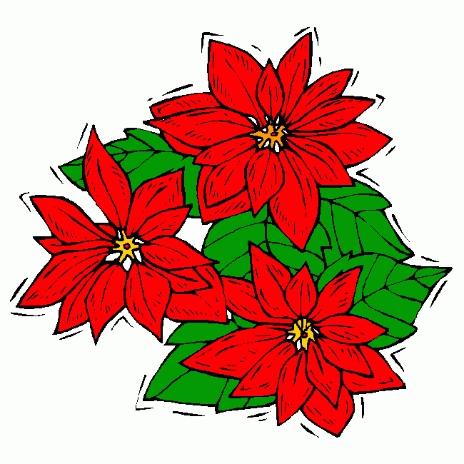 ponsetias para colorear