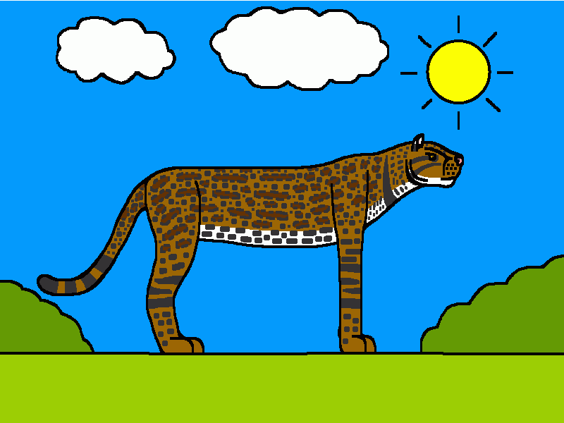 pseudaelurus para colorear