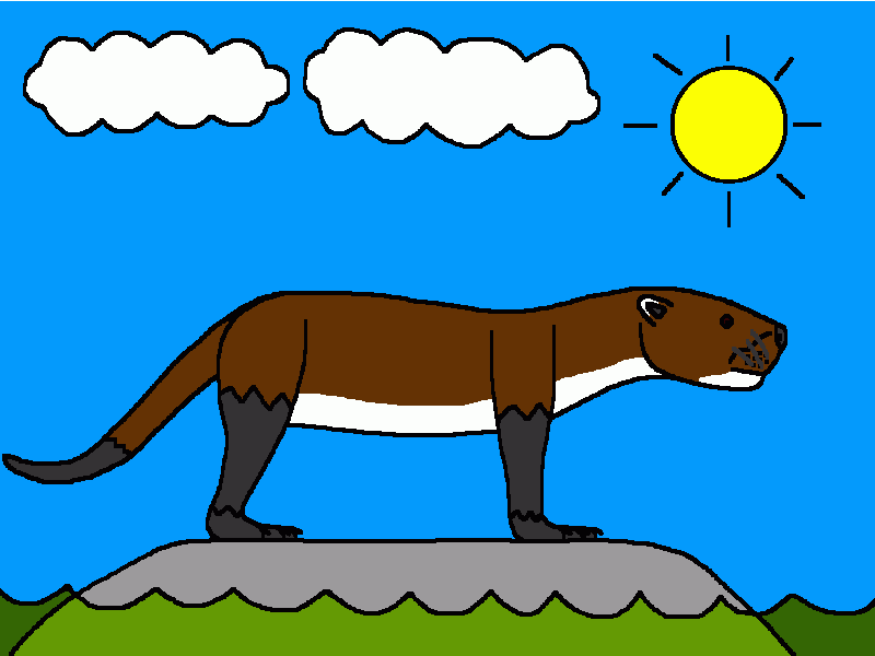 puijila para colorear