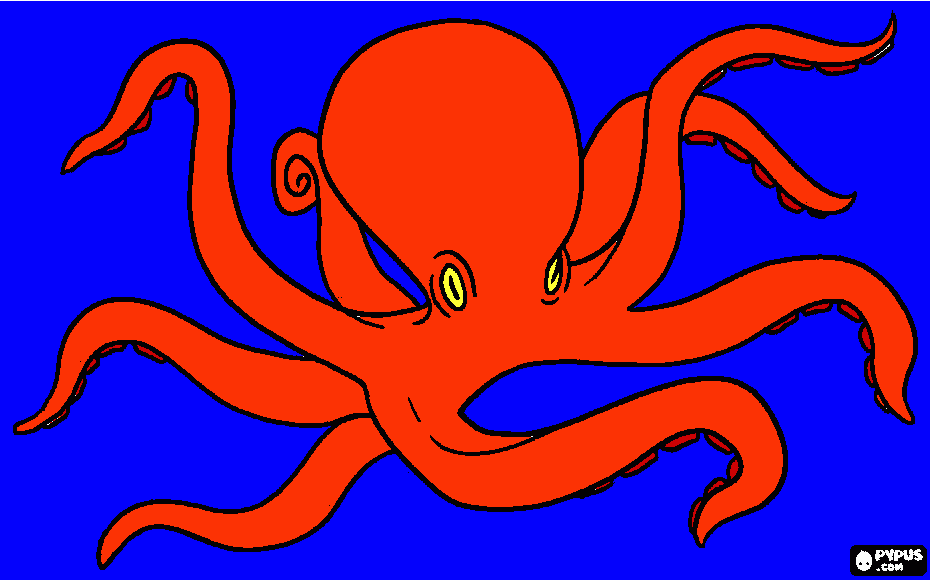 Pulpo de Edu para colorear